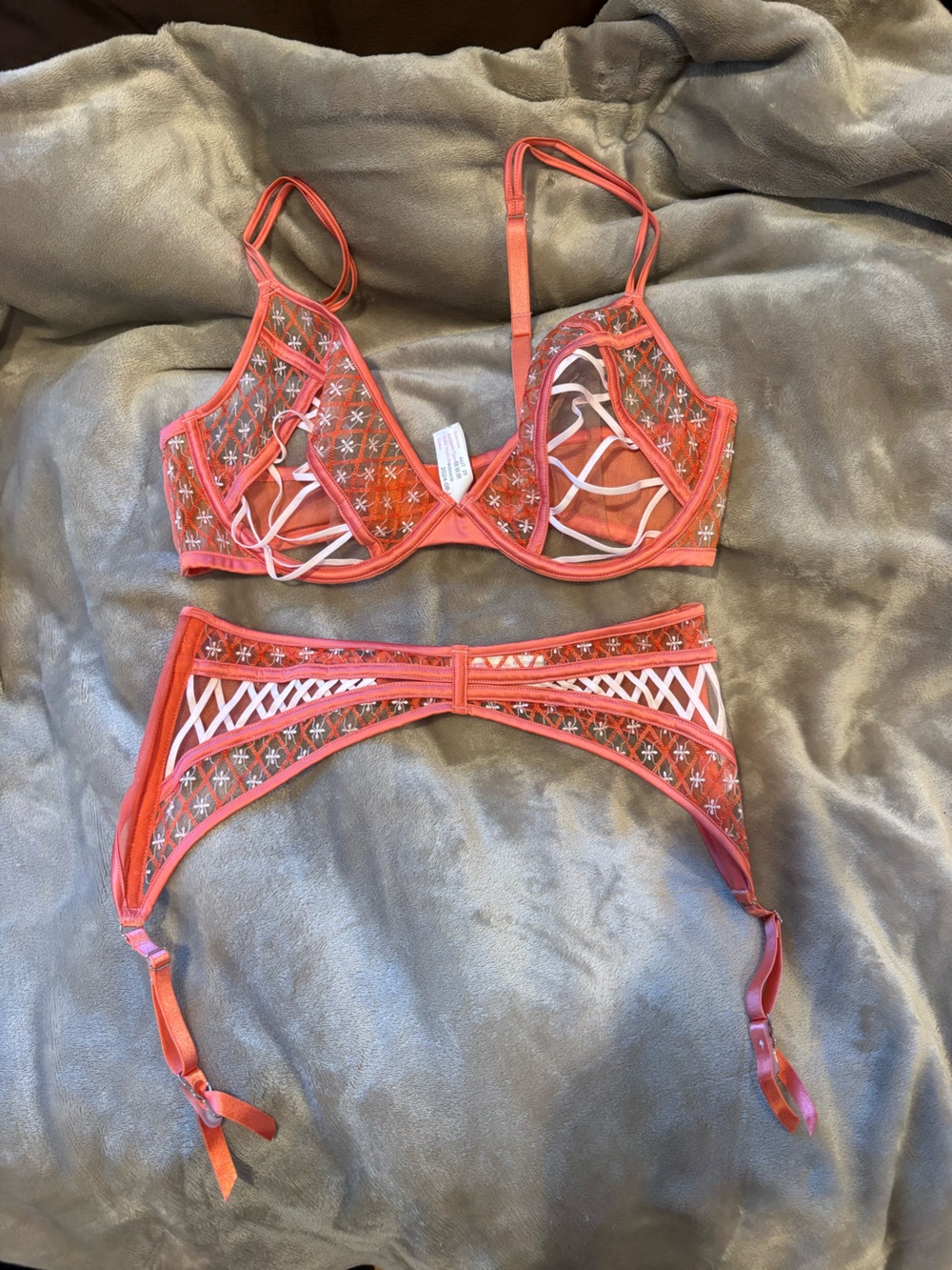 Coral Sheer Embroidered Unlined Plunge Bra & Garter Set